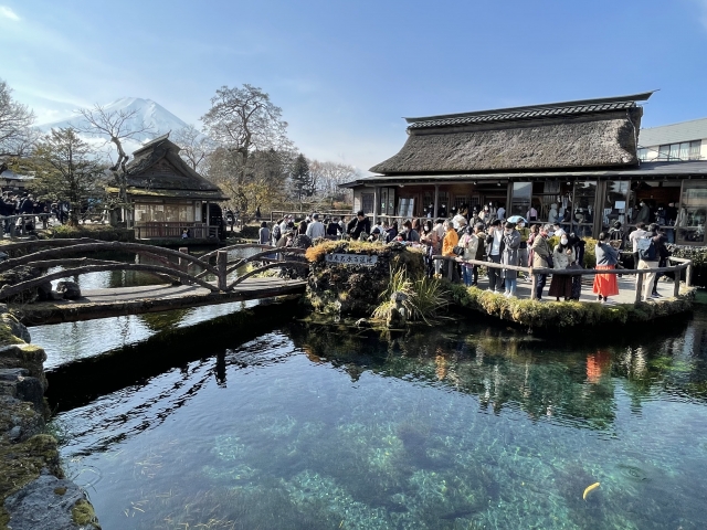 忍野八海