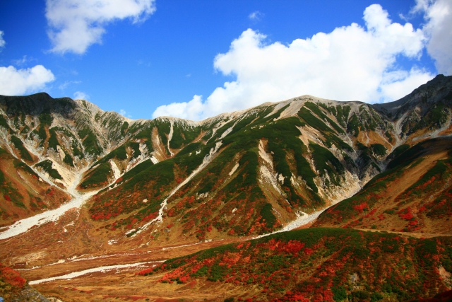 室堂平の紅葉