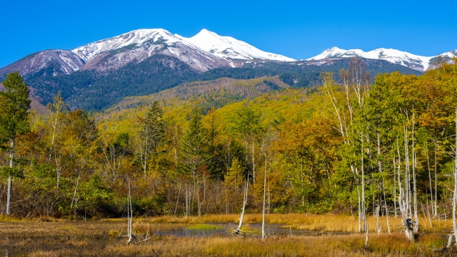 乗鞍高原の紅葉