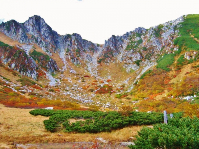 千畳敷カールの紅葉