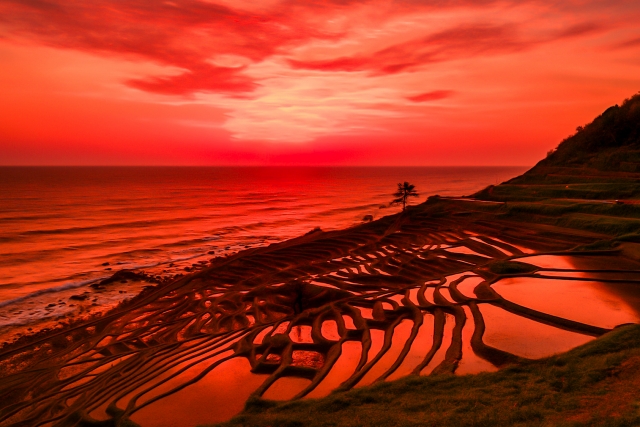 白米千枚田の夕暮れ