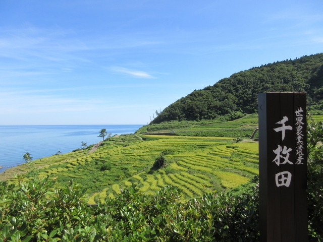 白米千枚田