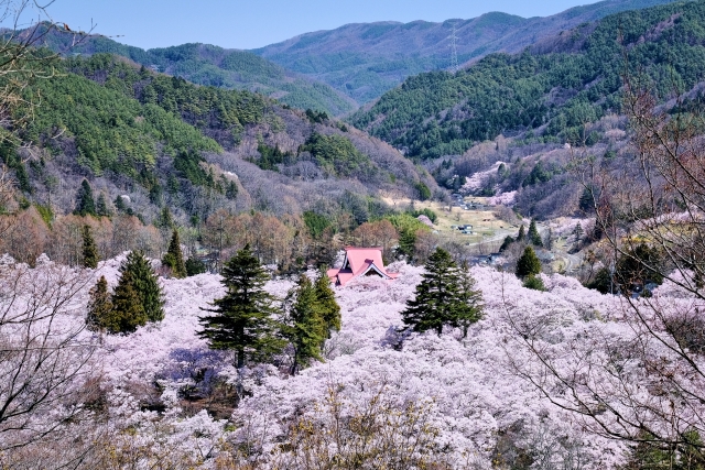高遠城址公園