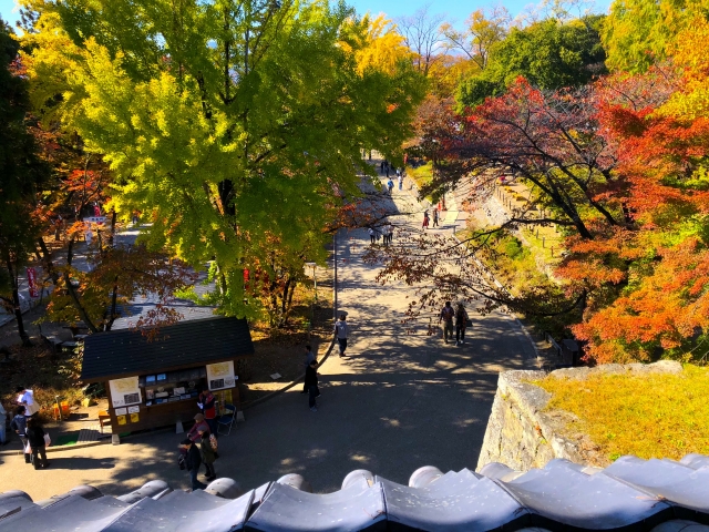 上田城の櫓からの紅葉