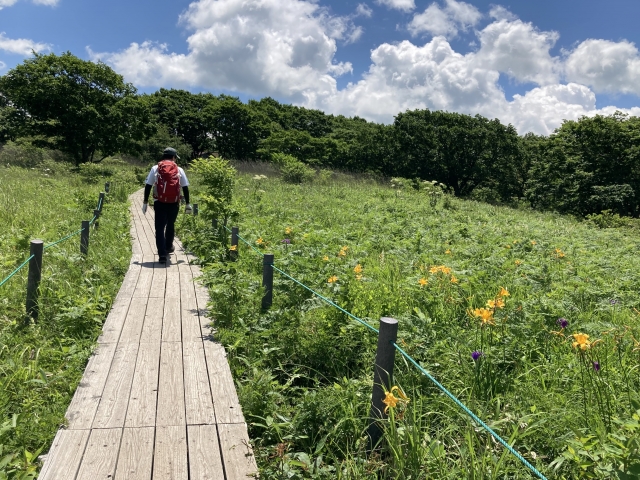 八島湿原の遊歩道