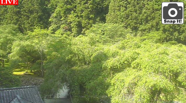 あきつの小野公園