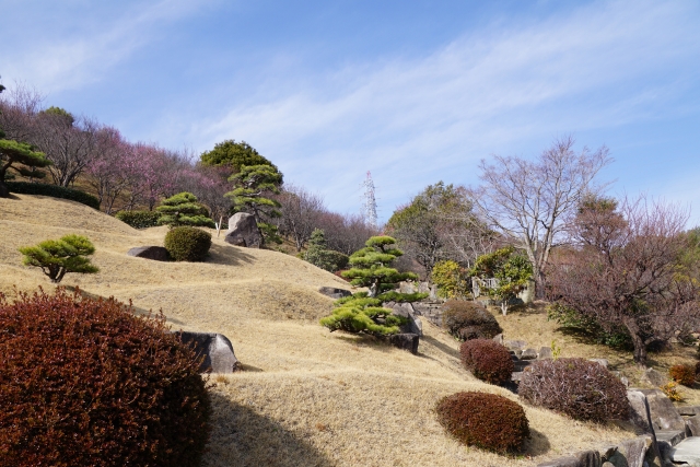 冠山総合公園