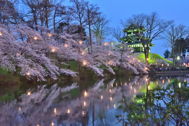 高田城と夜桜