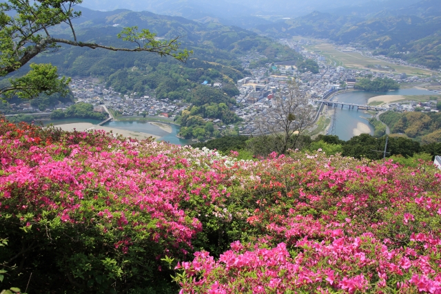 冨士山公園のツツジ