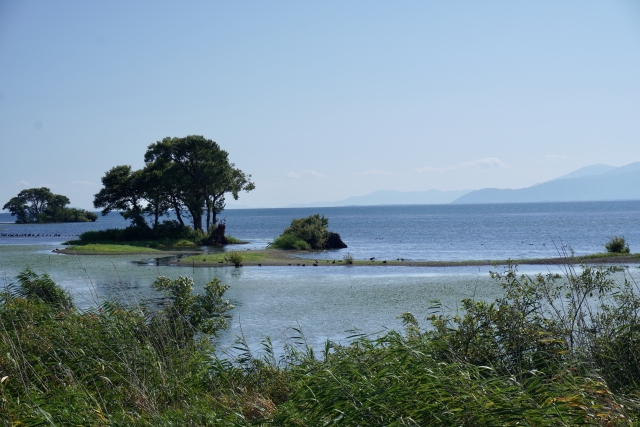 琵琶湖水鳥公園