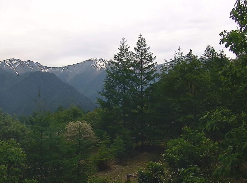 夜叉神峠