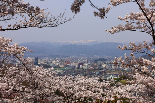 花見山公園