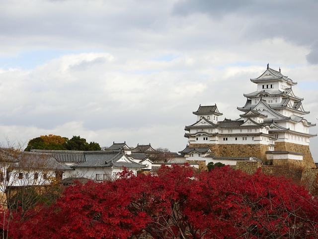 姫路城と紅葉