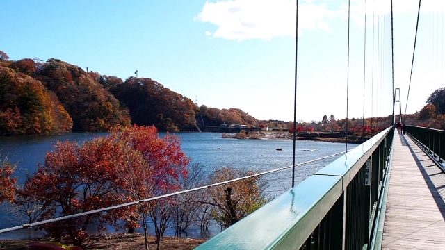 もみじ谷大吊り橋の紅葉