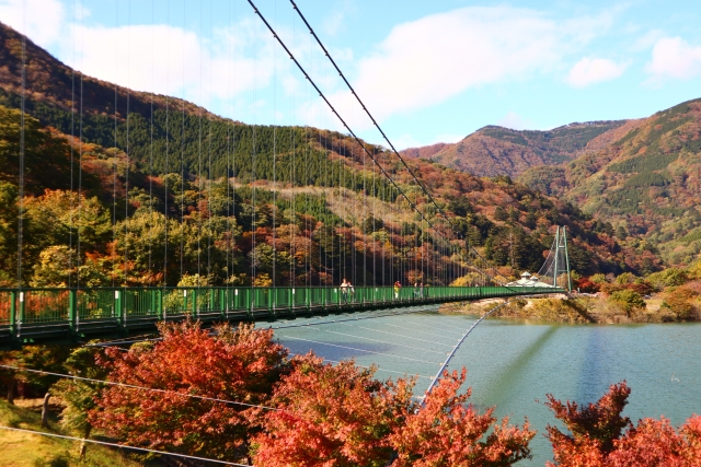 もみじ谷大吊橋