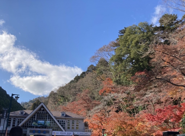 高尾山の紅葉