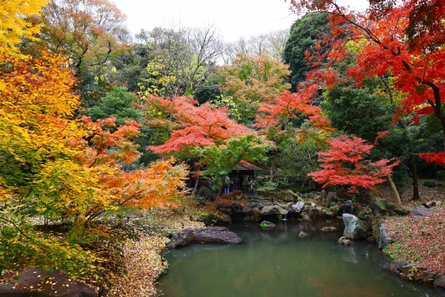 六義園の紅葉