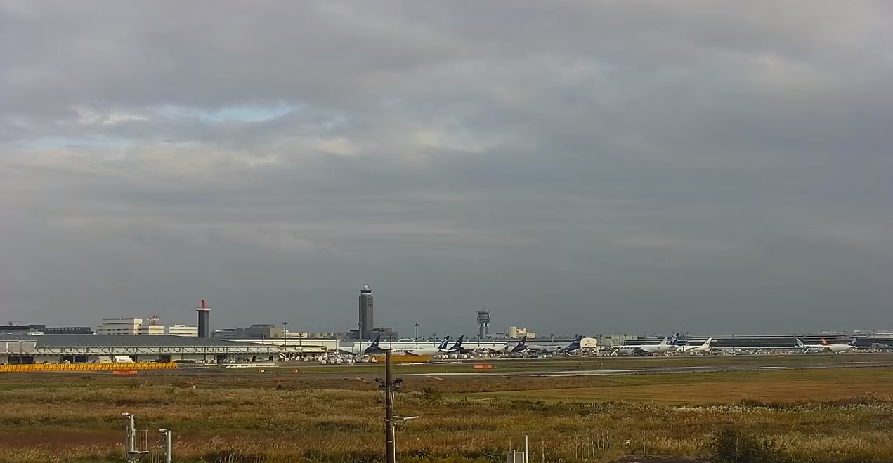 さくらの山公園成田国際空港