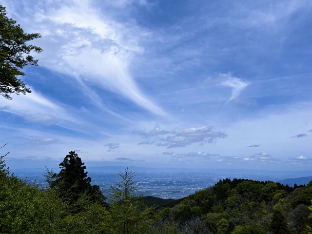 金剛山山頂からの景色