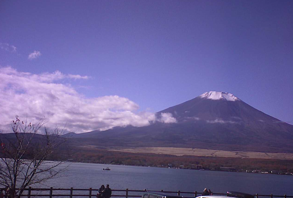 山中湖長池富士山