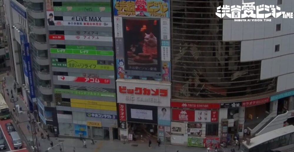 渋谷愛ビジョン