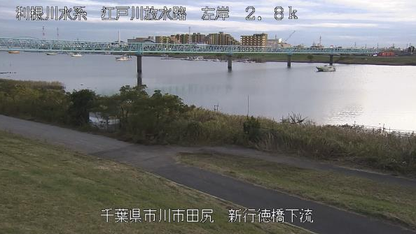 江戸川放水路左岸2.8K