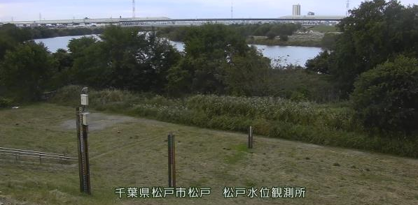 江戸川左岸19.6K