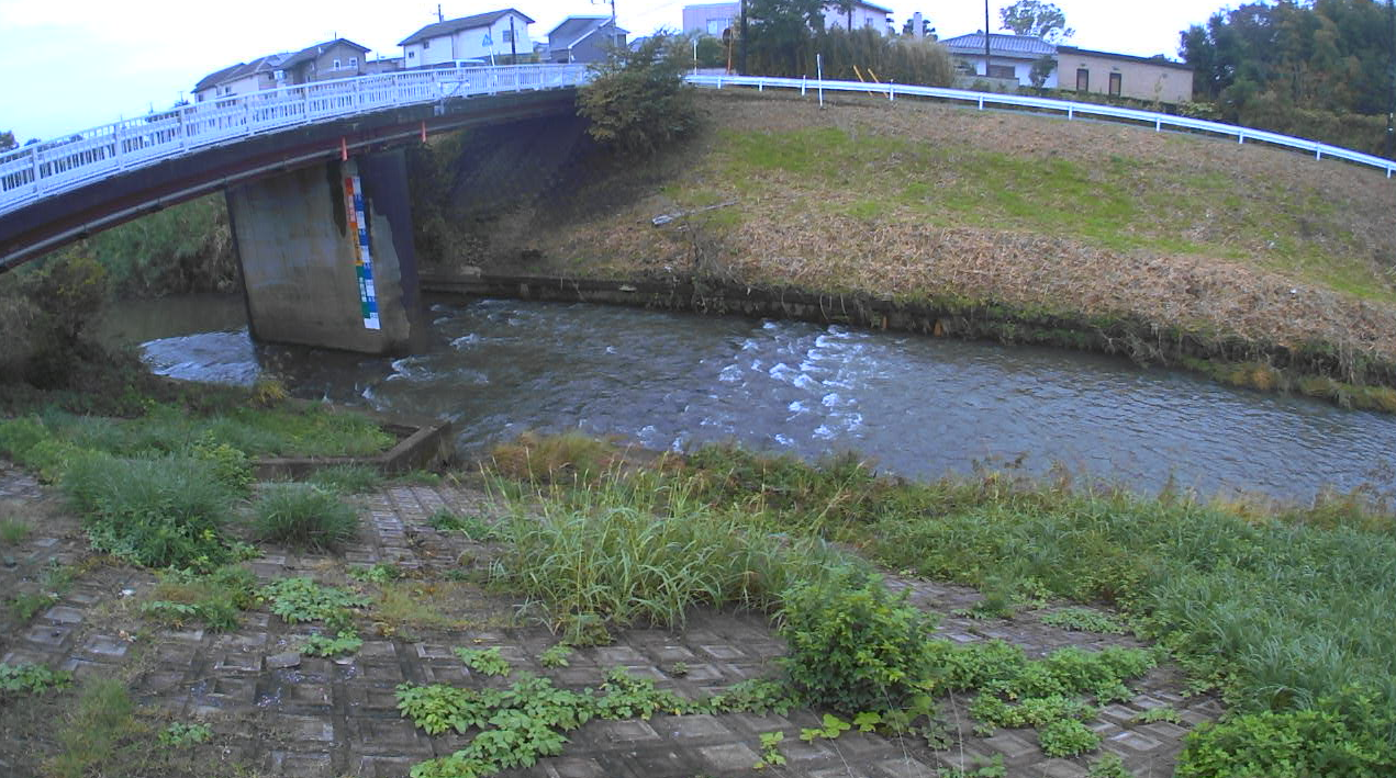 村田川草刈