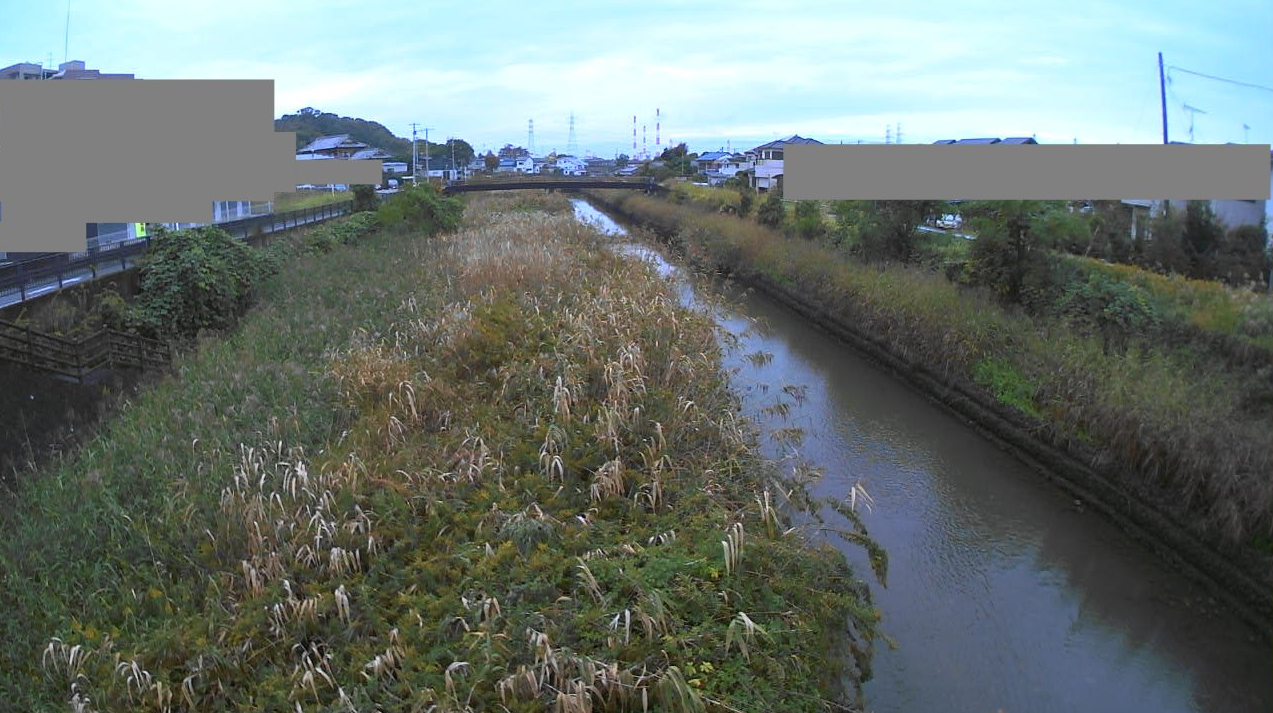 椎津川椎津