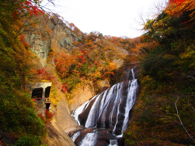 袋田の滝の紅葉