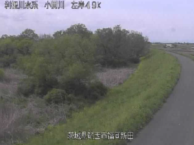 小貝川左岸49.2K