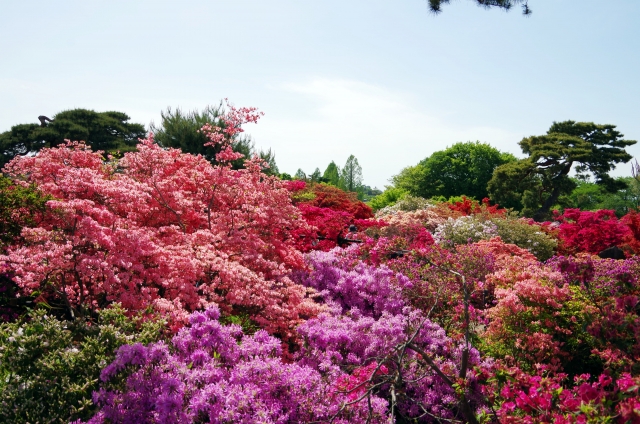 館林市つつじが岡公園