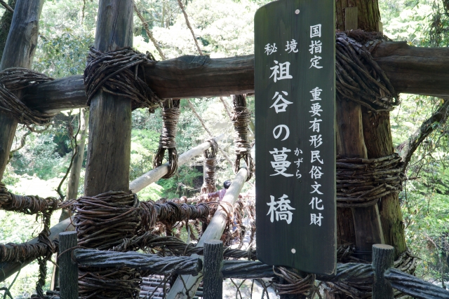 国指定重要有形民俗文化財 秘境祖谷の蔓橋