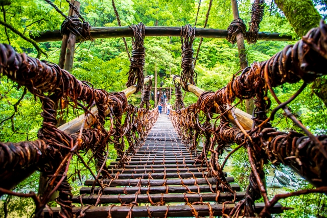 祖谷の蔓橋