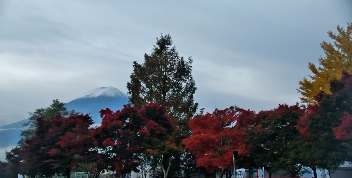 河口湖紅葉