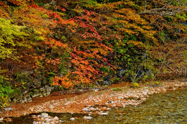 四万温泉の紅葉