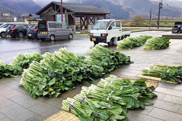 道の駅花の駅千曲川の店頭販売