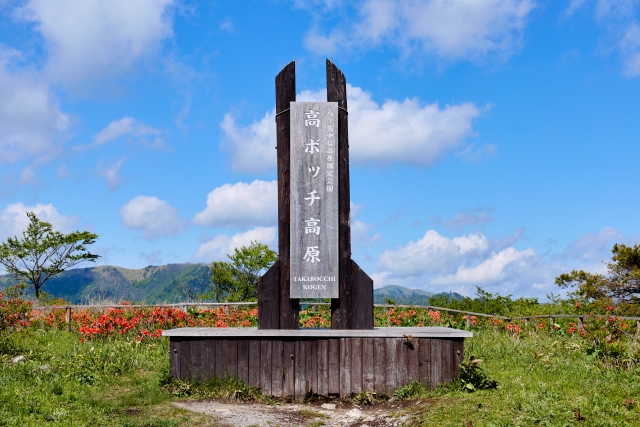 高ボッチ高原