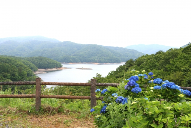 羽鳥湖