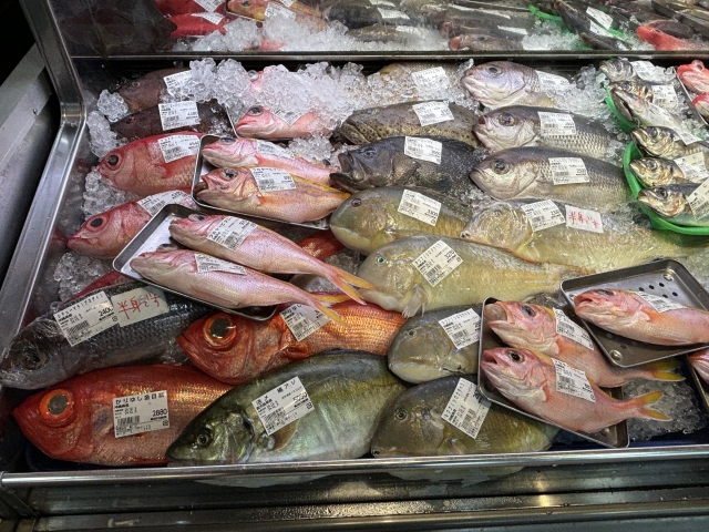 鮮魚売場