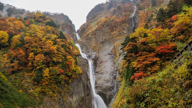 称名滝の紅葉