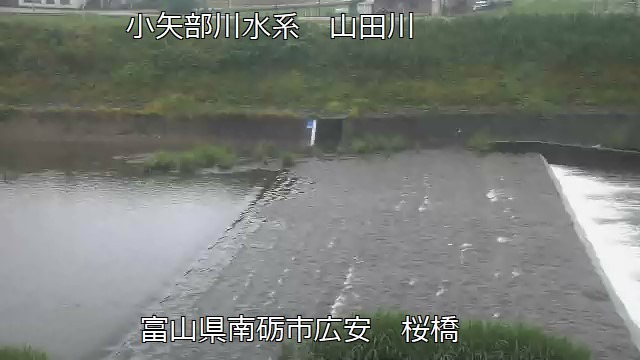 山田川桜橋