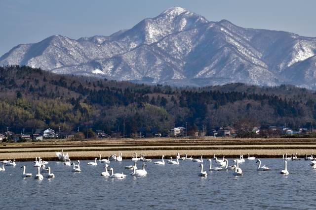 米山