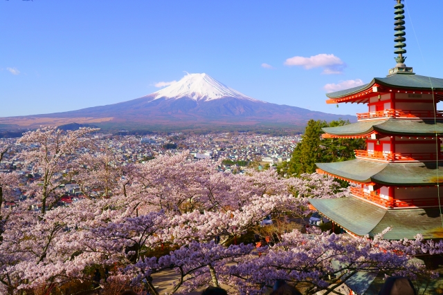 新倉山浅間公園と桜