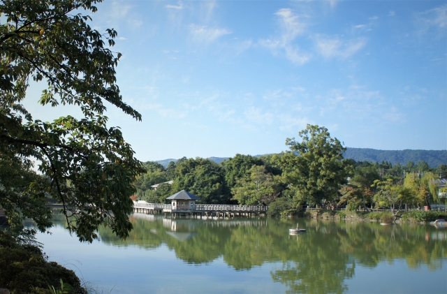 八条ヶ池