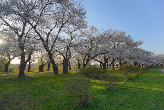 北上展勝地