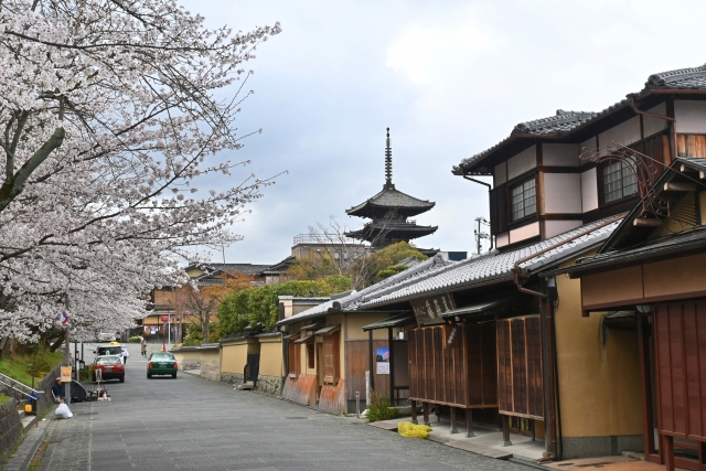 桜の時期のねねの道