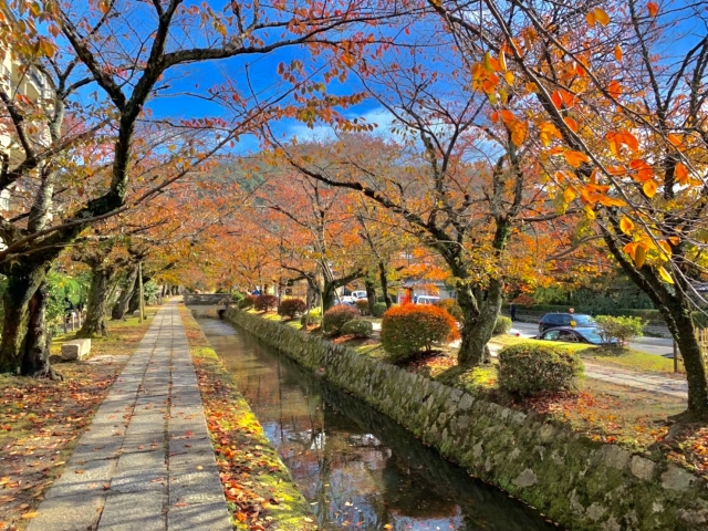 京都哲学の道の紅葉