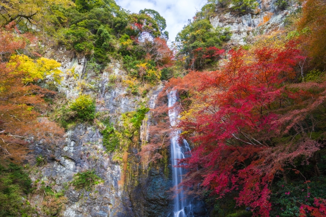箕面大滝の紅葉