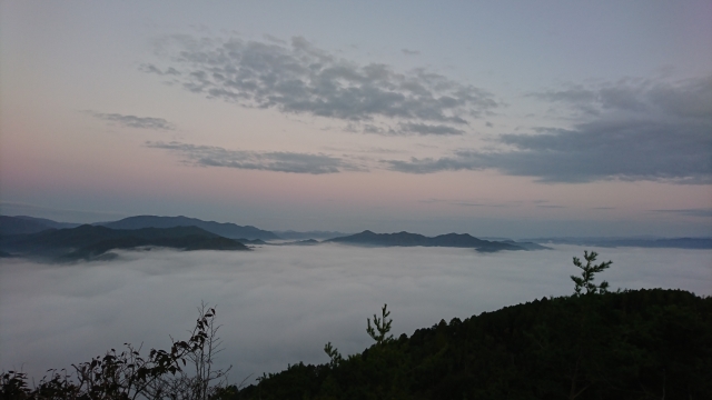 雲海
